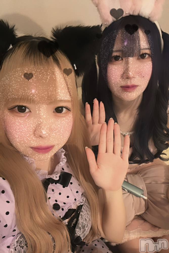 ʥå륺С󥻥ץȥե ˤޤ(󥻥ץȥե˥ޥ륭奦ǥ) 礦1124̥֥֤ˤä‼️