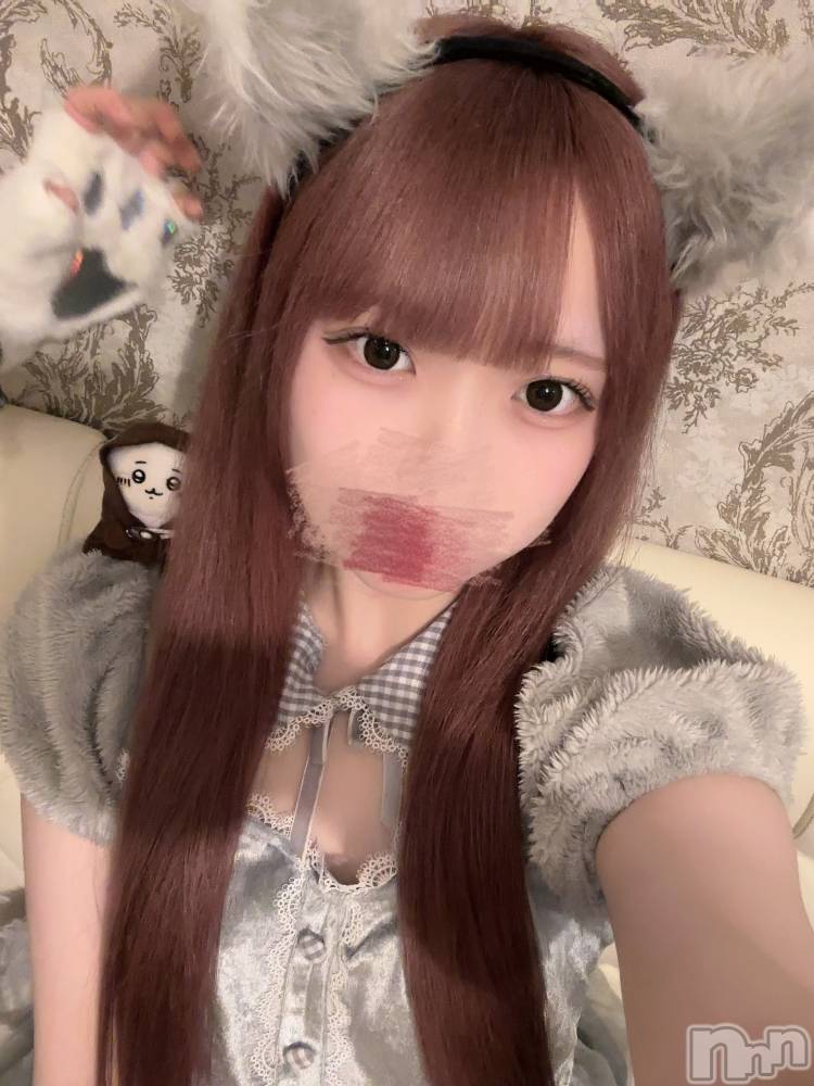 ʥå륺С󥻥ץȥե ˤޤ(󥻥ץȥե˥ޥ륭奦ǥ) 礦126̥֥126 2152ʬΥ֥