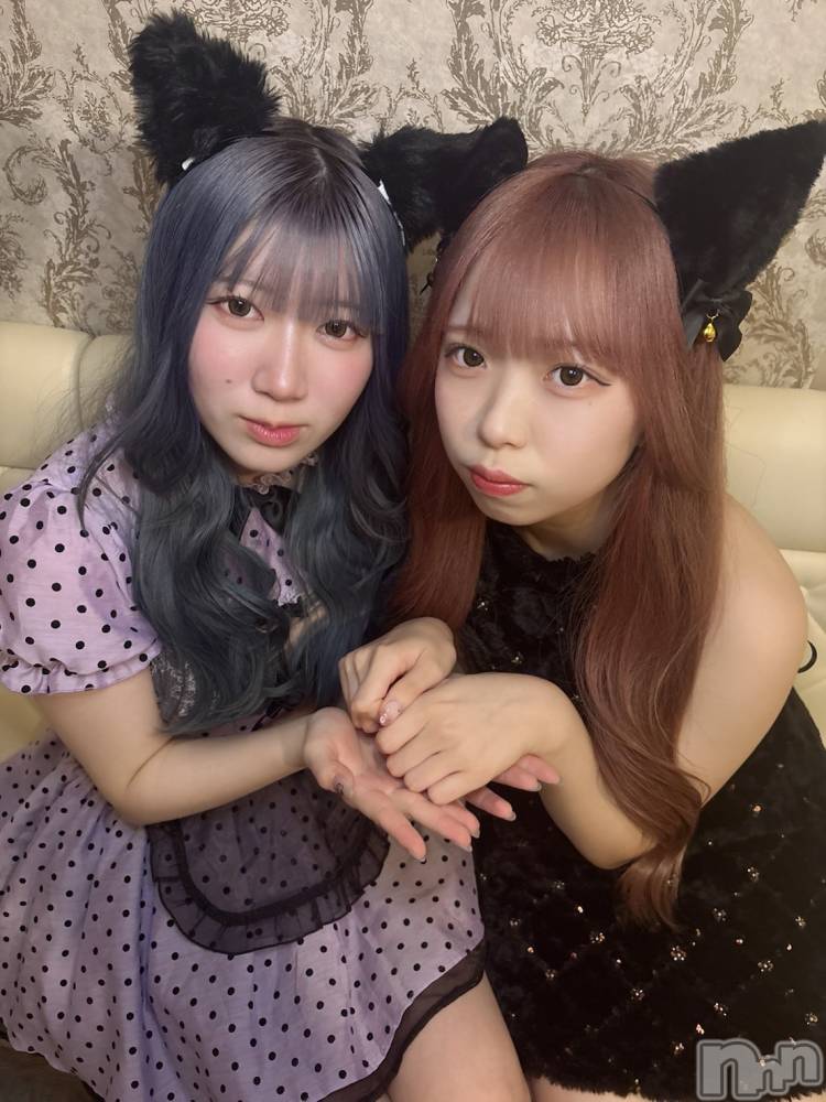 ʥå륺С󥻥ץȥե ˤޤ(󥻥ץȥե˥ޥ륭奦ǥ) 礦128̥֥128 0242ʬΥ֥