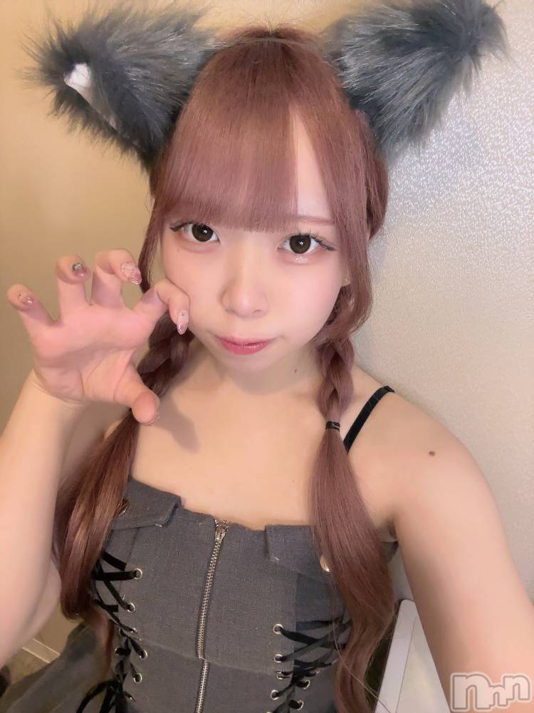 ʥå륺С󥻥ץȥե ˤޤ(󥻥ץȥե˥ޥ륭奦ǥ) 礦129̥֥129 0134ʬΥ֥