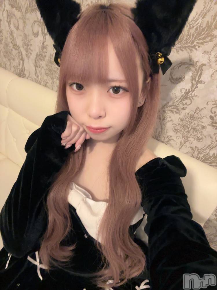 ʥå륺С󥻥ץȥե ˤޤ(󥻥ץȥե˥ޥ륭奦ǥ) 礦1220̥֥1220 0141ʬΥ֥