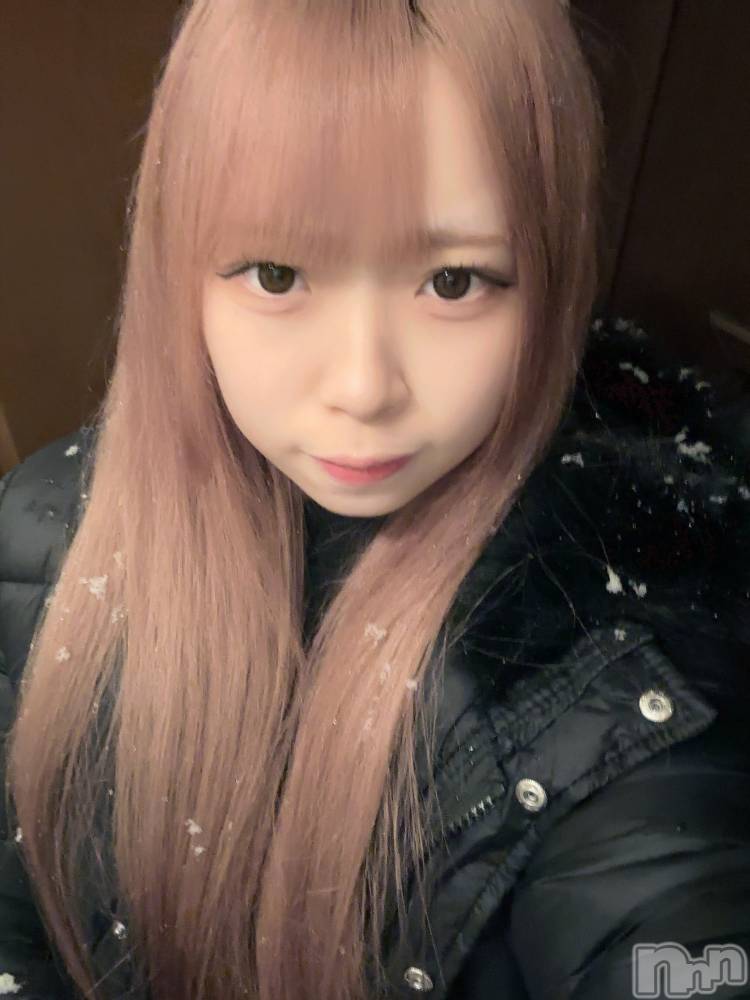 ʥå륺С󥻥ץȥե ˤޤ(󥻥ץȥե˥ޥ륭奦ǥ) 礦14̥֥14 1631ʬΥ֥