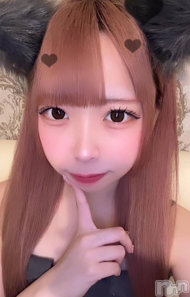 ʥå륺С󥻥ץȥե ˤޤ(󥻥ץȥե˥ޥ륭奦ǥ) 礦18̥֥18 0259ʬΥ֥