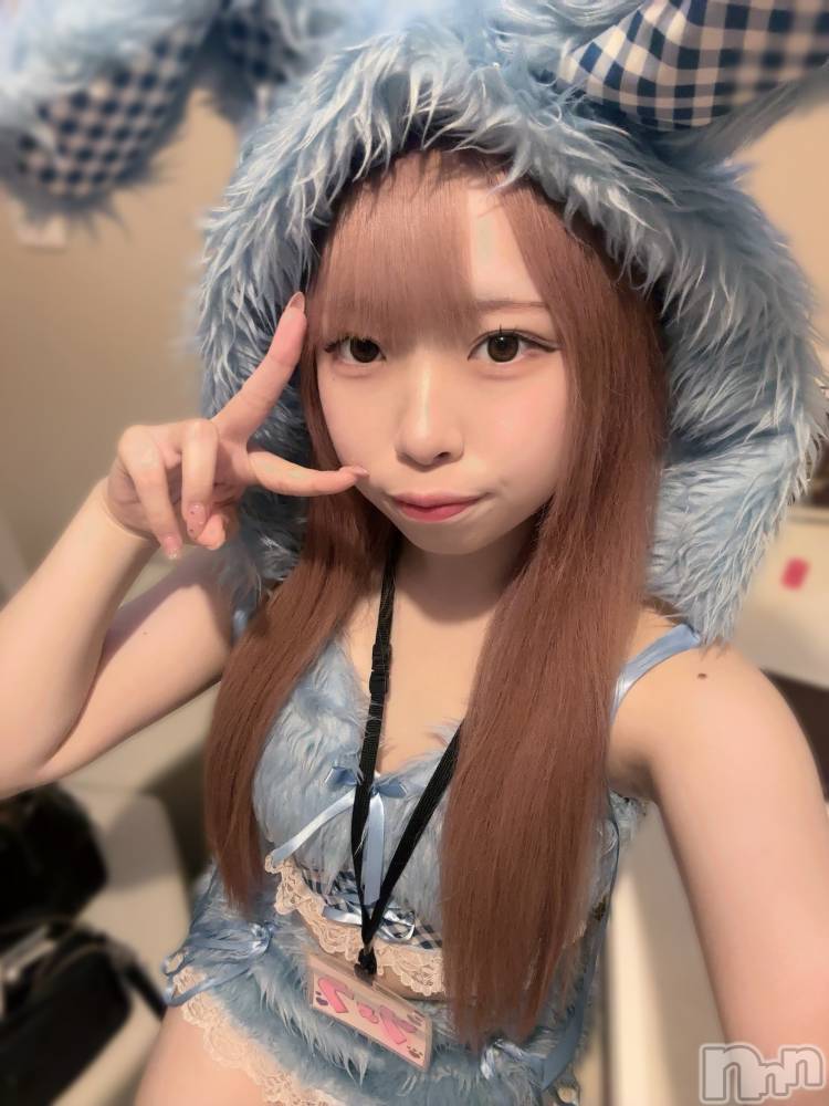 ʥå륺С󥻥ץȥե ˤޤ(󥻥ץȥե˥ޥ륭奦ǥ) 礦19̥֥19 2213ʬΥ֥
