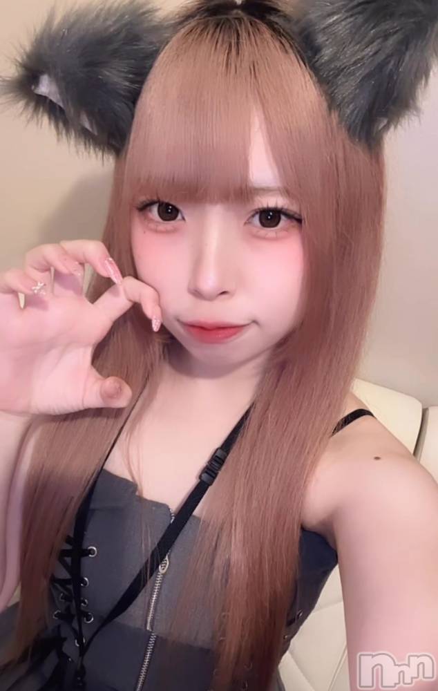 ʥå륺С󥻥ץȥե ˤޤ(󥻥ץȥե˥ޥ륭奦ǥ) 礦126̥֥126 0317ʬΥ֥