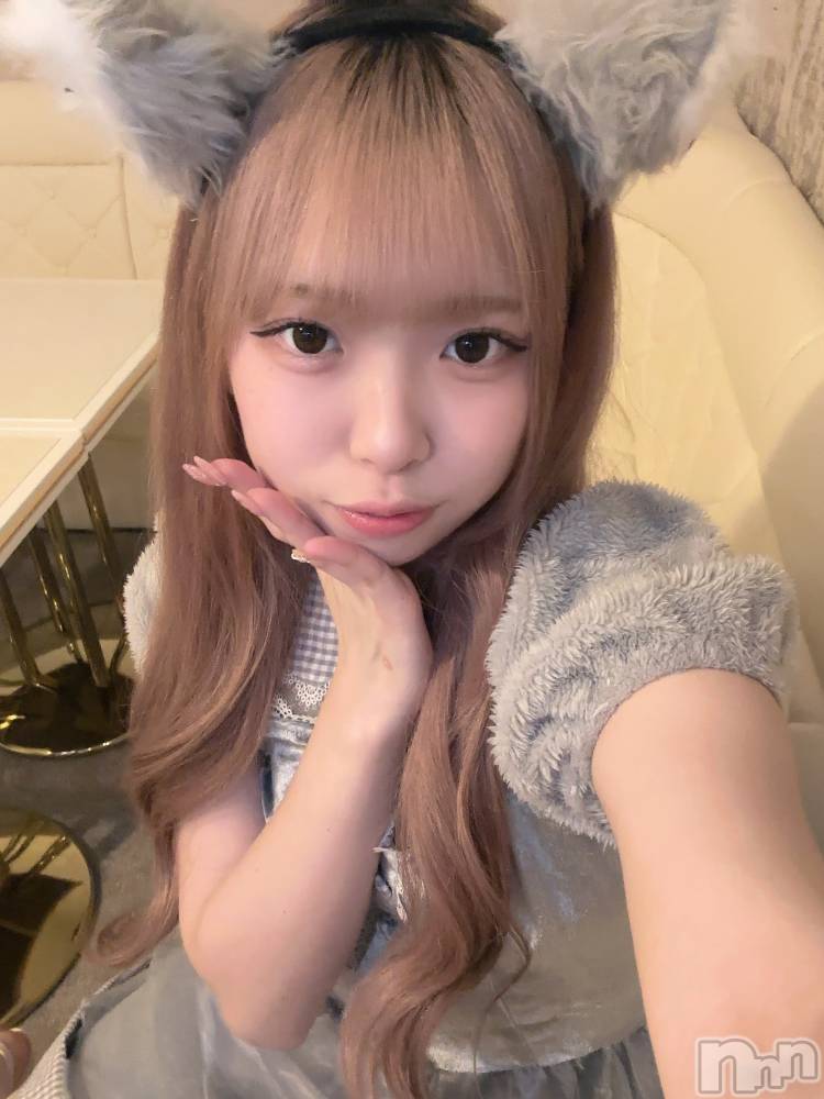 ʥå륺С󥻥ץȥե ˤޤ(󥻥ץȥե˥ޥ륭奦ǥ) 礦130̥֥130 2211ʬΥ֥