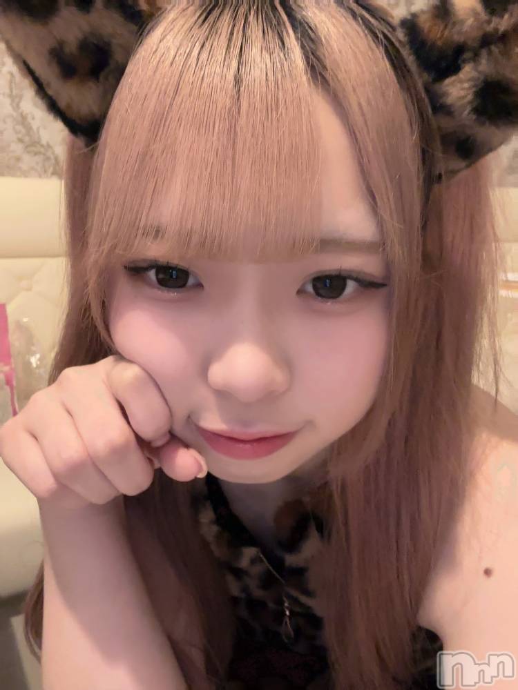 ʥå륺С󥻥ץȥե ˤޤ(󥻥ץȥե˥ޥ륭奦ǥ) 礦131̥֥131 2259ʬΥ֥