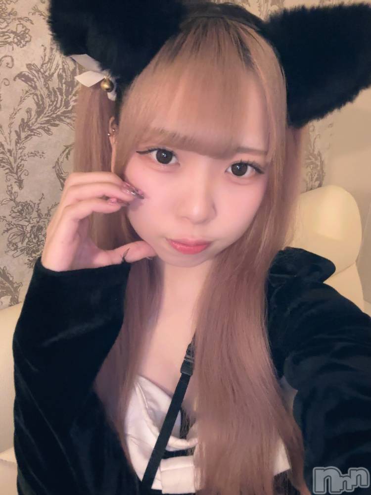 ʥå륺С󥻥ץȥե ˤޤ(󥻥ץȥե˥ޥ륭奦ǥ) 礦26̥֥26 1614ʬΥ֥