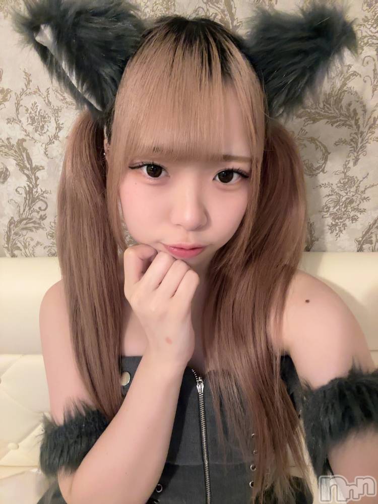 ʥå륺С󥻥ץȥե ˤޤ(󥻥ץȥե˥ޥ륭奦ǥ) 礦29̥֥29 2246ʬΥ֥
