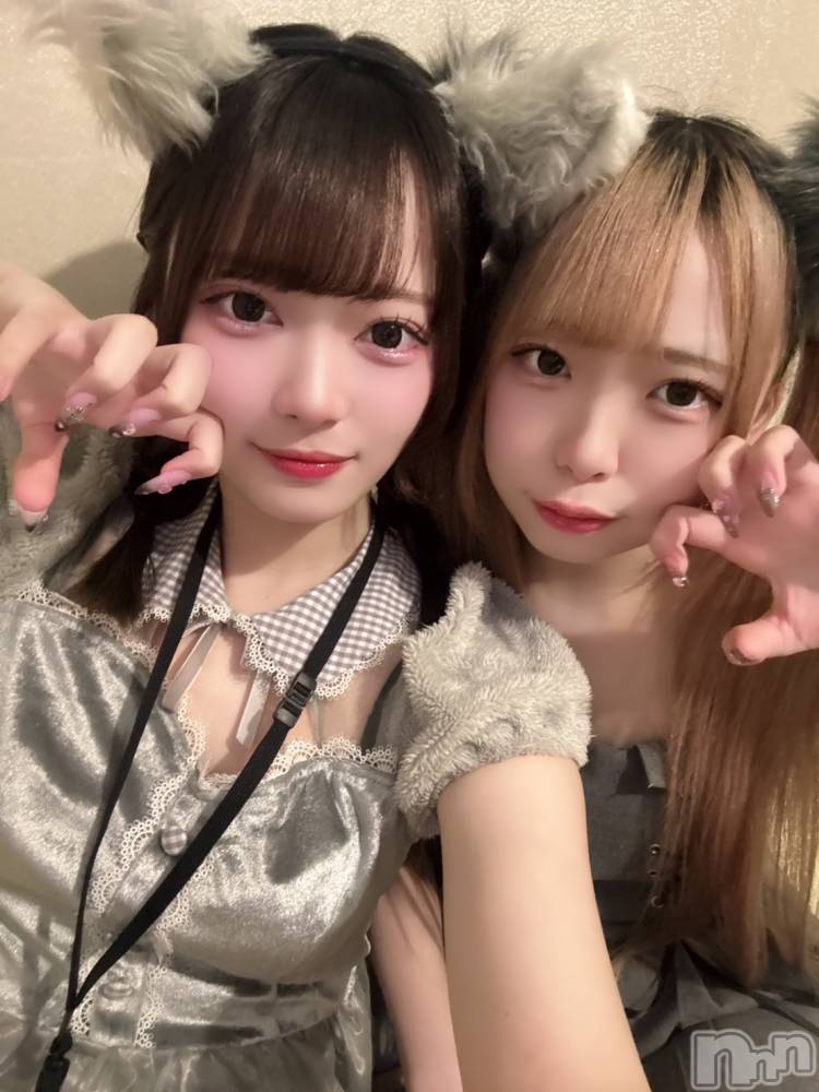 ʥå륺С󥻥ץȥե ˤޤ(󥻥ץȥե˥ޥ륭奦ǥ) 礦210̥֥210 2305ʬΥ֥