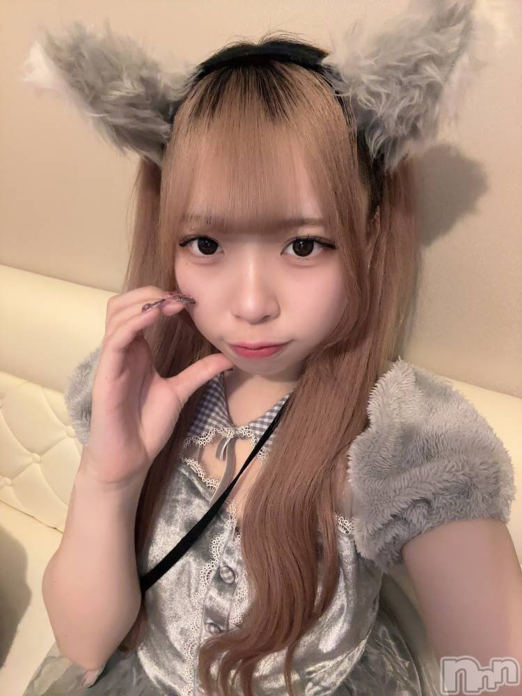 ʥå륺С󥻥ץȥե ˤޤ(󥻥ץȥե˥ޥ륭奦ǥ) 礦215̥֥215 0257ʬΥ֥
