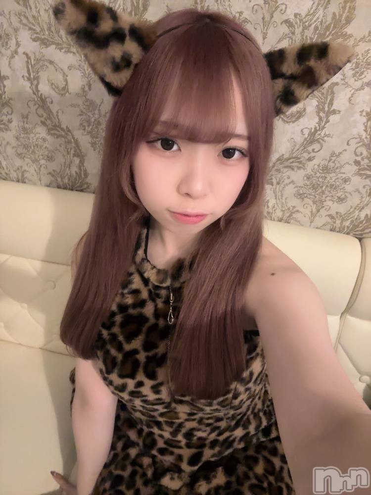 ʥå륺С󥻥ץȥե ˤޤ(󥻥ץȥե˥ޥ륭奦ǥ) 礦219̥֥219 2137ʬΥ֥