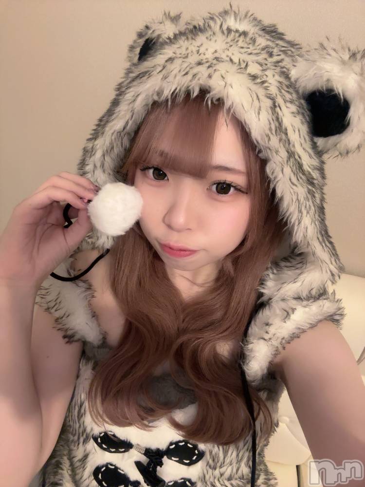 ʥå륺С󥻥ץȥե ˤޤ(󥻥ץȥե˥ޥ륭奦ǥ) 礦227̥֥227 0009ʬΥ֥