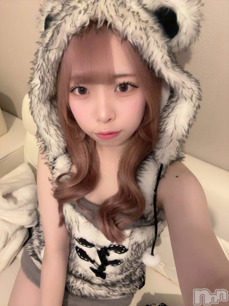 ʥå륺С󥻥ץȥե ˤޤ(󥻥ץȥե˥ޥ륭奦ǥ) 礦331̥֥331 2226ʬΥ֥