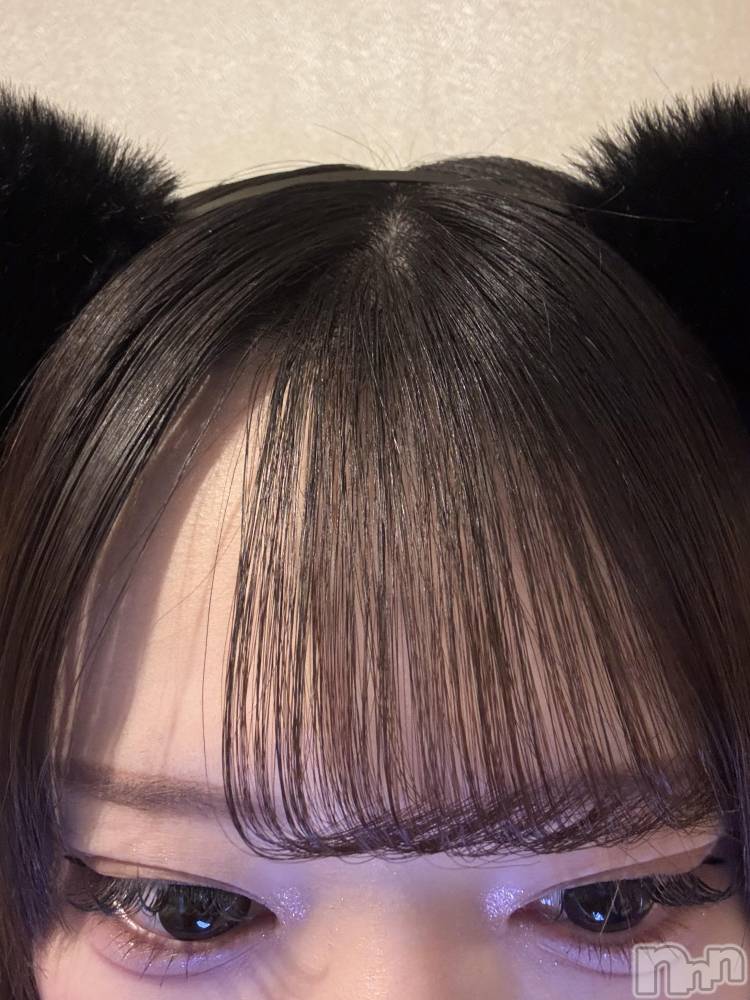 ʥå륺С󥻥ץȥե ˤޤ(󥻥ץȥե˥ޥ륭奦ǥ) 礦42̥֥42 0050ʬΥ֥