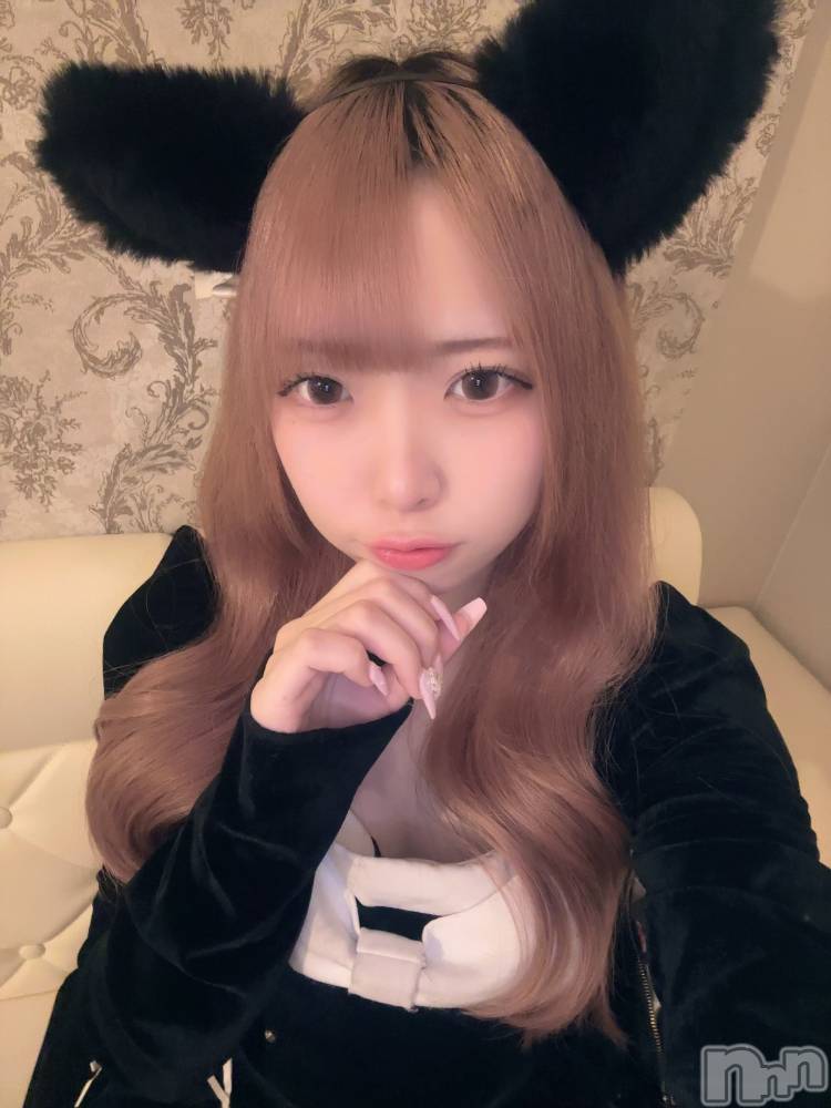 ʥå륺С󥻥ץȥե ˤޤ(󥻥ץȥե˥ޥ륭奦ǥ) 礦48̥֥48 2241ʬΥ֥