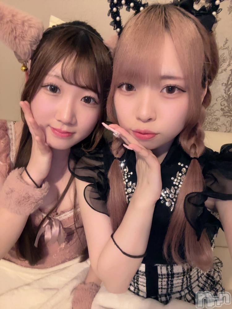 ʥå륺С󥻥ץȥե ˤޤ(󥻥ץȥե˥ޥ륭奦ǥ) 礦410̥֥410 2317ʬΥ֥