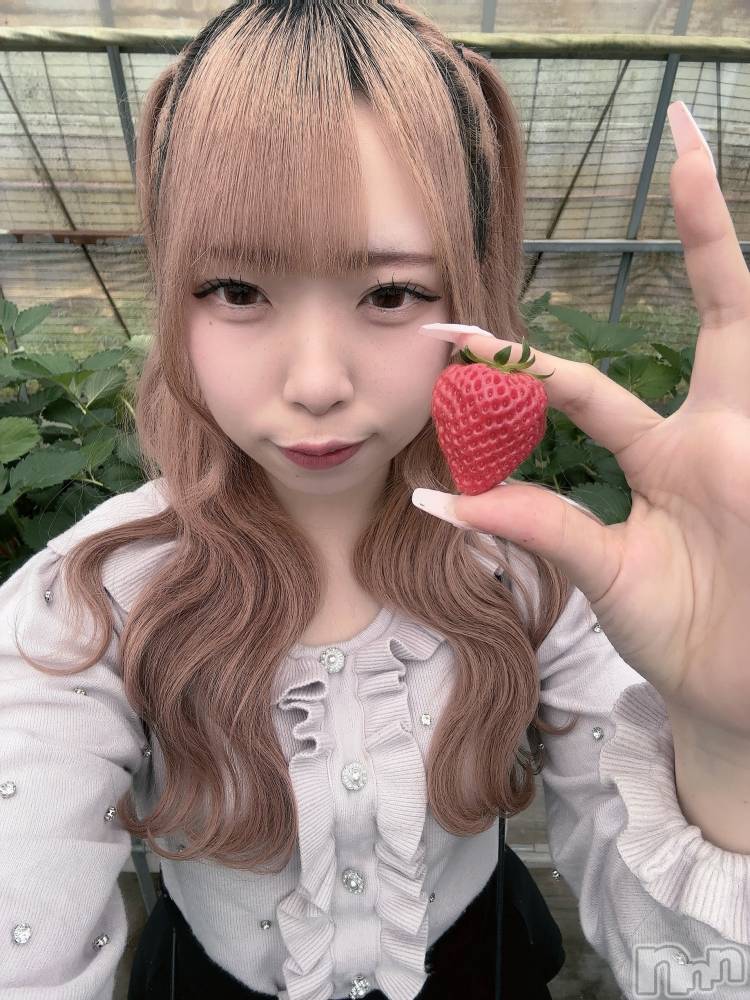 ʥå륺С󥻥ץȥե ˤޤ(󥻥ץȥե˥ޥ륭奦ǥ) 礦412̥֥412 2118ʬΥ֥