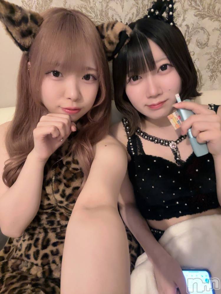 ʥå륺С󥻥ץȥե ˤޤ(󥻥ץȥե˥ޥ륭奦ǥ) 礦51̥֥51 2247ʬΥ֥