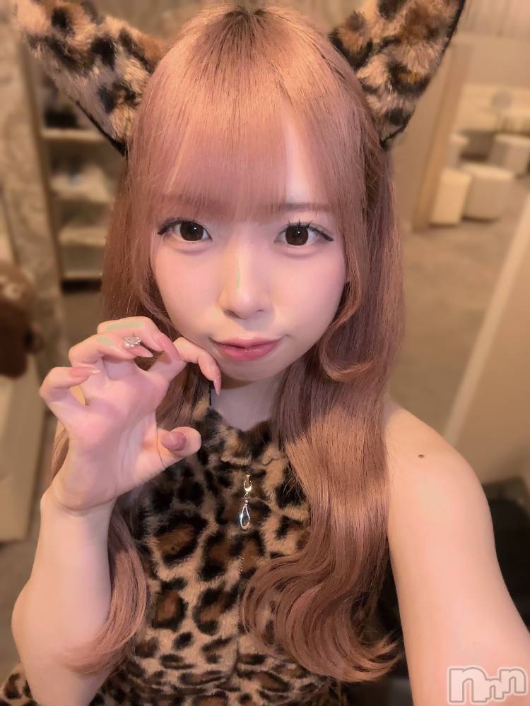 ʥå륺С󥻥ץȥե ˤޤ(󥻥ץȥե˥ޥ륭奦ǥ) 礦517̥֥517 0031ʬΥ֥