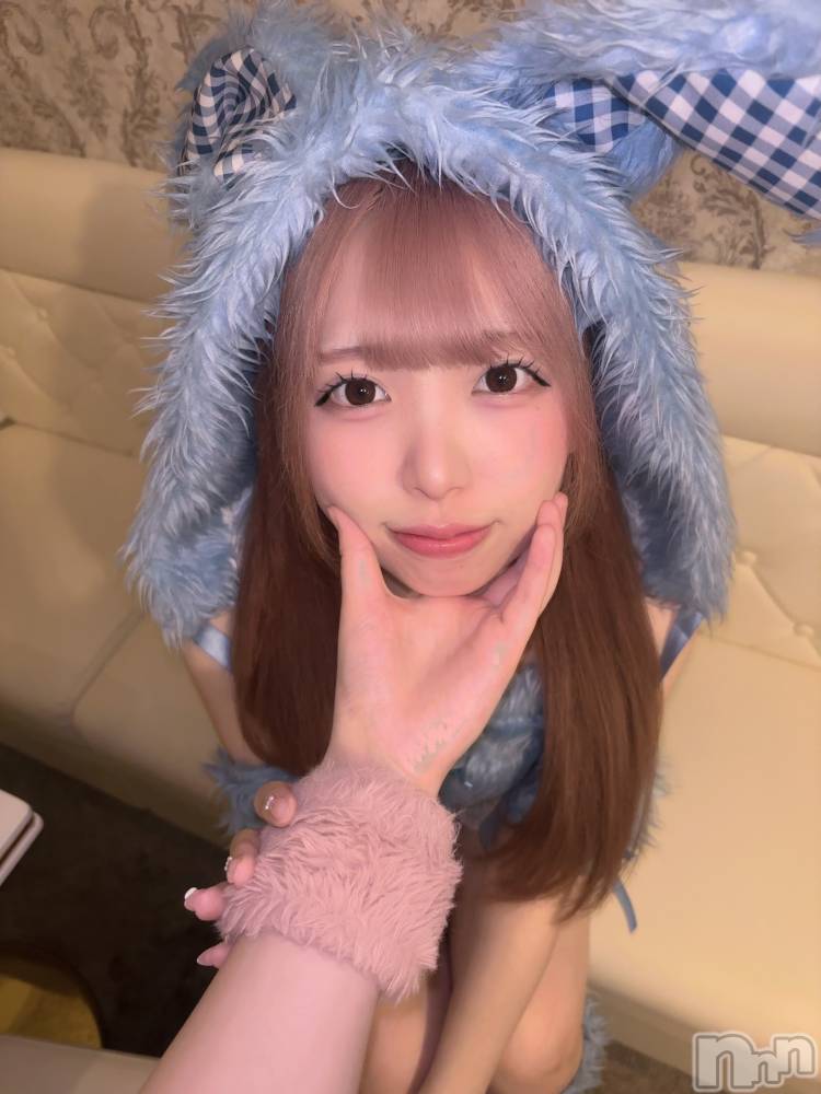 ʥå륺С󥻥ץȥե ˤޤ(󥻥ץȥե˥ޥ륭奦ǥ) 礦521̥֥521 2336ʬΥ֥