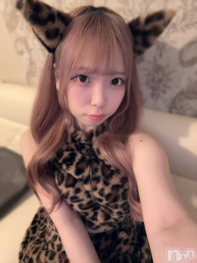 ʥå륺С󥻥ץȥե ˤޤ(󥻥ץȥե˥ޥ륭奦ǥ) 礦525̥֥525 0238ʬΥ֥