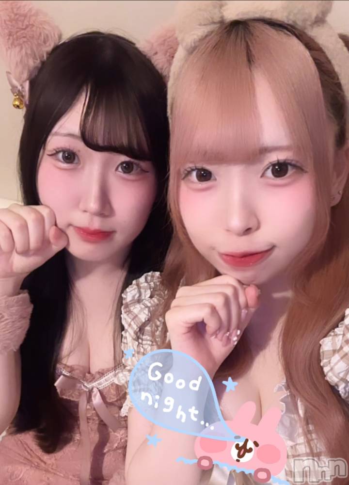 ʥå륺С󥻥ץȥե ˤޤ(󥻥ץȥե˥ޥ륭奦ǥ) 礦528̥֥528 2233ʬΥ֥