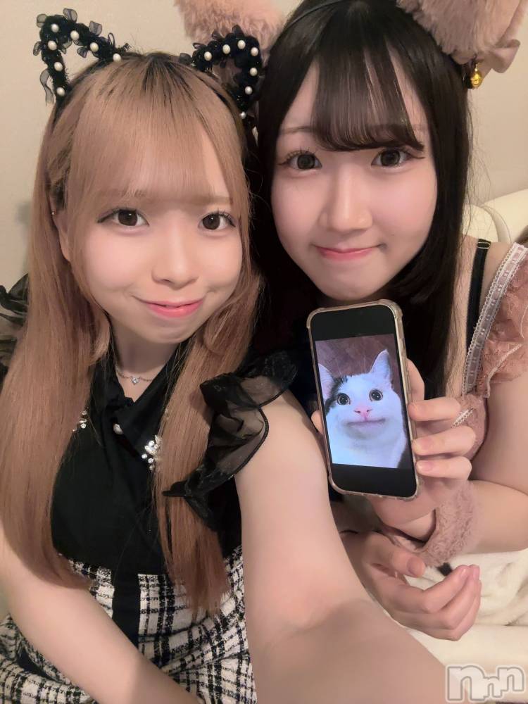 ʥå륺С󥻥ץȥե ˤޤ(󥻥ץȥե˥ޥ륭奦ǥ) 礦65̥֥65 2319ʬΥ֥