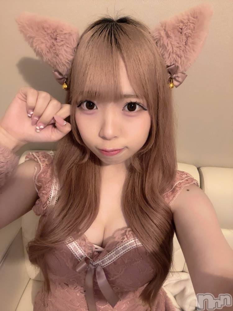 ʥå륺С󥻥ץȥե ˤޤ(󥻥ץȥե˥ޥ륭奦ǥ) 礦610̥֥610 2246ʬΥ֥