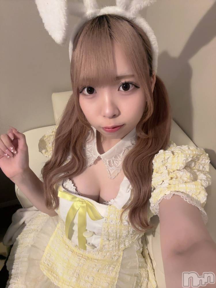 ʥå륺С󥻥ץȥե ˤޤ(󥻥ץȥե˥ޥ륭奦ǥ) 礦613̥֥613 1613ʬΥ֥