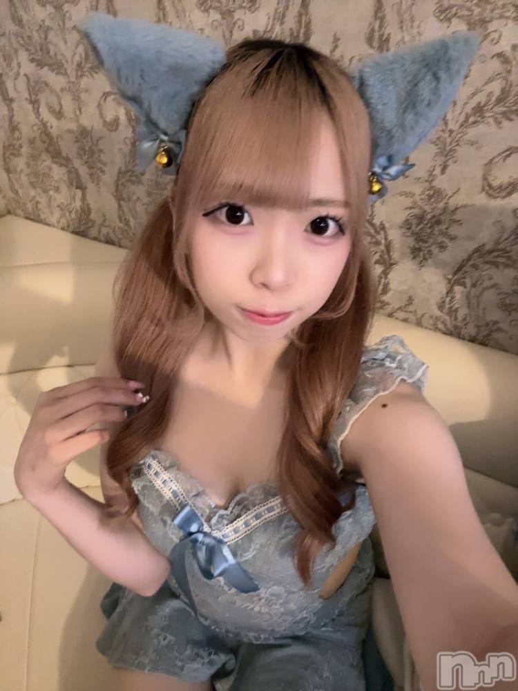 ʥå륺С󥻥ץȥե ˤޤ(󥻥ץȥե˥ޥ륭奦ǥ) 礦613̥֥613 2206ʬΥ֥