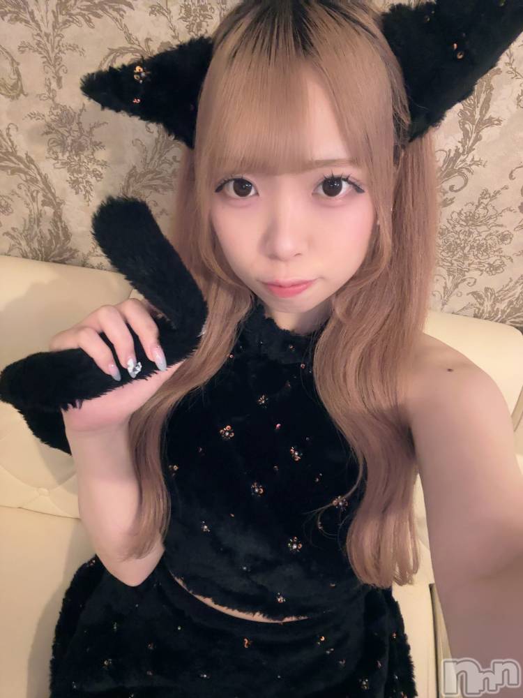 ʥå륺С󥻥ץȥե ˤޤ(󥻥ץȥե˥ޥ륭奦ǥ) 礦620̥֥620 0041ʬΥ֥