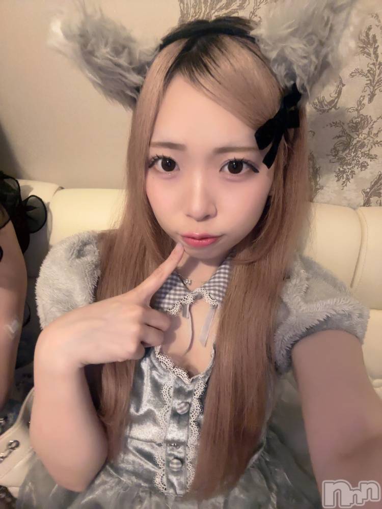 ʥå륺С󥻥ץȥե ˤޤ(󥻥ץȥե˥ޥ륭奦ǥ) 礦626̥֥626 2129ʬΥ֥