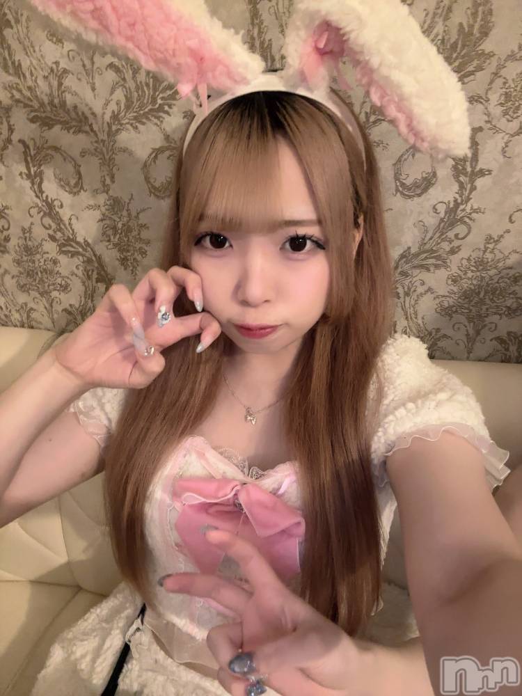 ʥå륺С󥻥ץȥե ˤޤ(󥻥ץȥե˥ޥ륭奦ǥ) 礦72̥֥72 2113ʬΥ֥