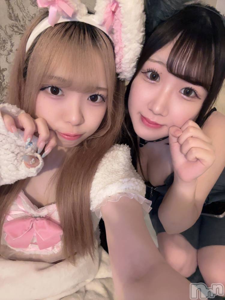 ʥå륺С󥻥ץȥե ˤޤ(󥻥ץȥե˥ޥ륭奦ǥ) 礦73̥֥73 2301ʬΥ֥