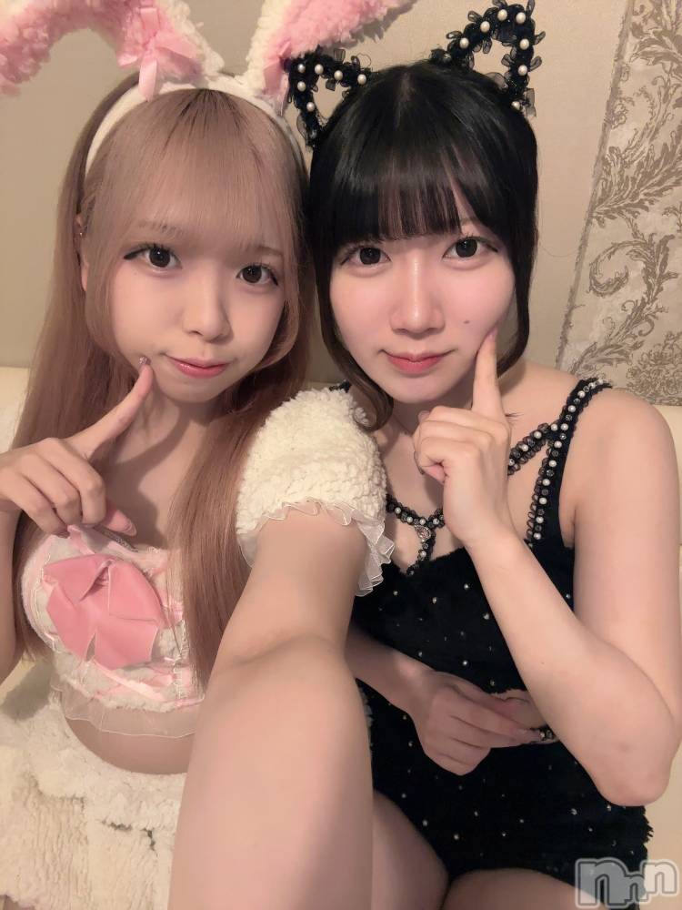ʥå륺С󥻥ץȥե ˤޤ(󥻥ץȥե˥ޥ륭奦ǥ) 礦731̥֥731 2239ʬΥ֥