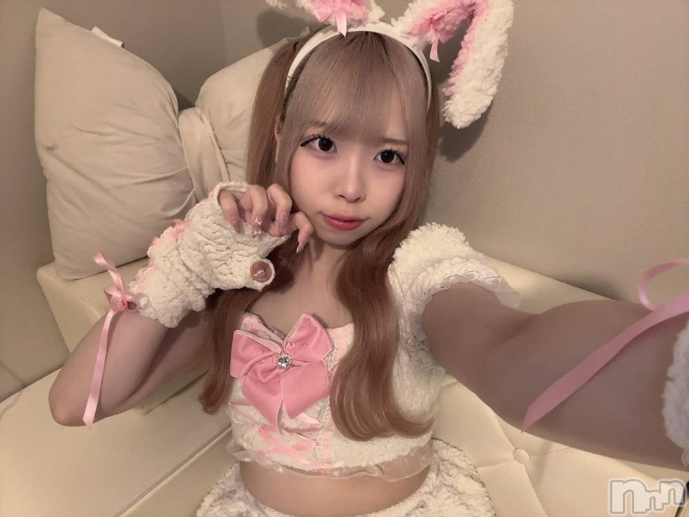 ʥå륺С󥻥ץȥե ˤޤ(󥻥ץȥե˥ޥ륭奦ǥ) 礦85̥֥85 2246ʬΥ֥