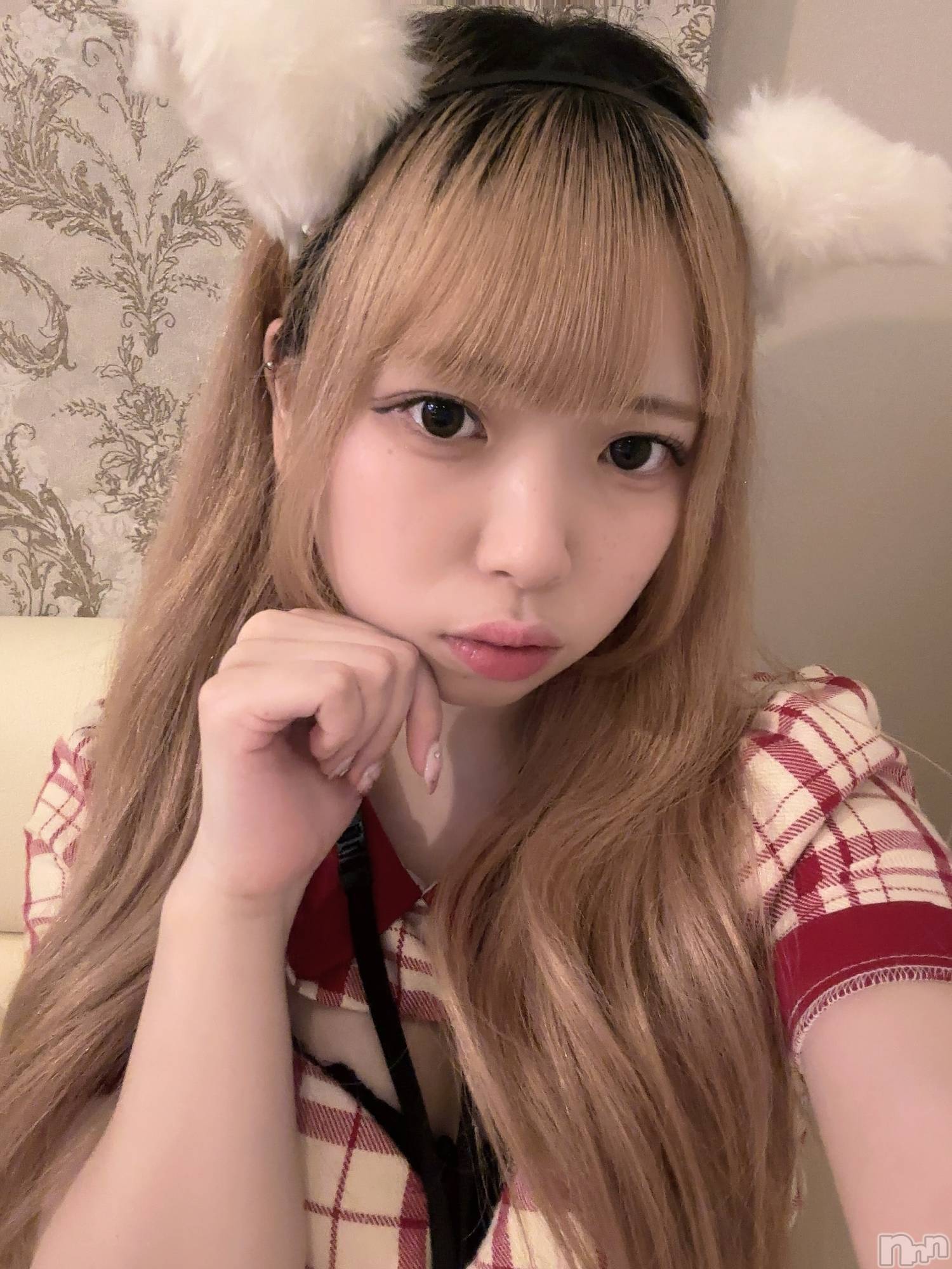 ʥå륺С󥻥ץȥե ˤޤ(󥻥ץȥե˥ޥ륭奦ǥ) 2024ǯ121̥֥121 2330ʬΥ֥