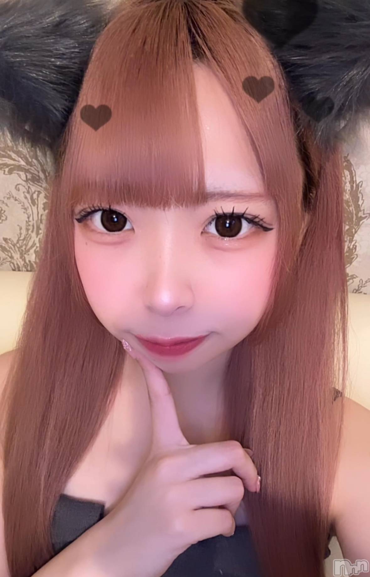 ʥå륺С󥻥ץȥե ˤޤ(󥻥ץȥե˥ޥ륭奦ǥ) 2025ǯ18̥֥18 0259ʬΥ֥