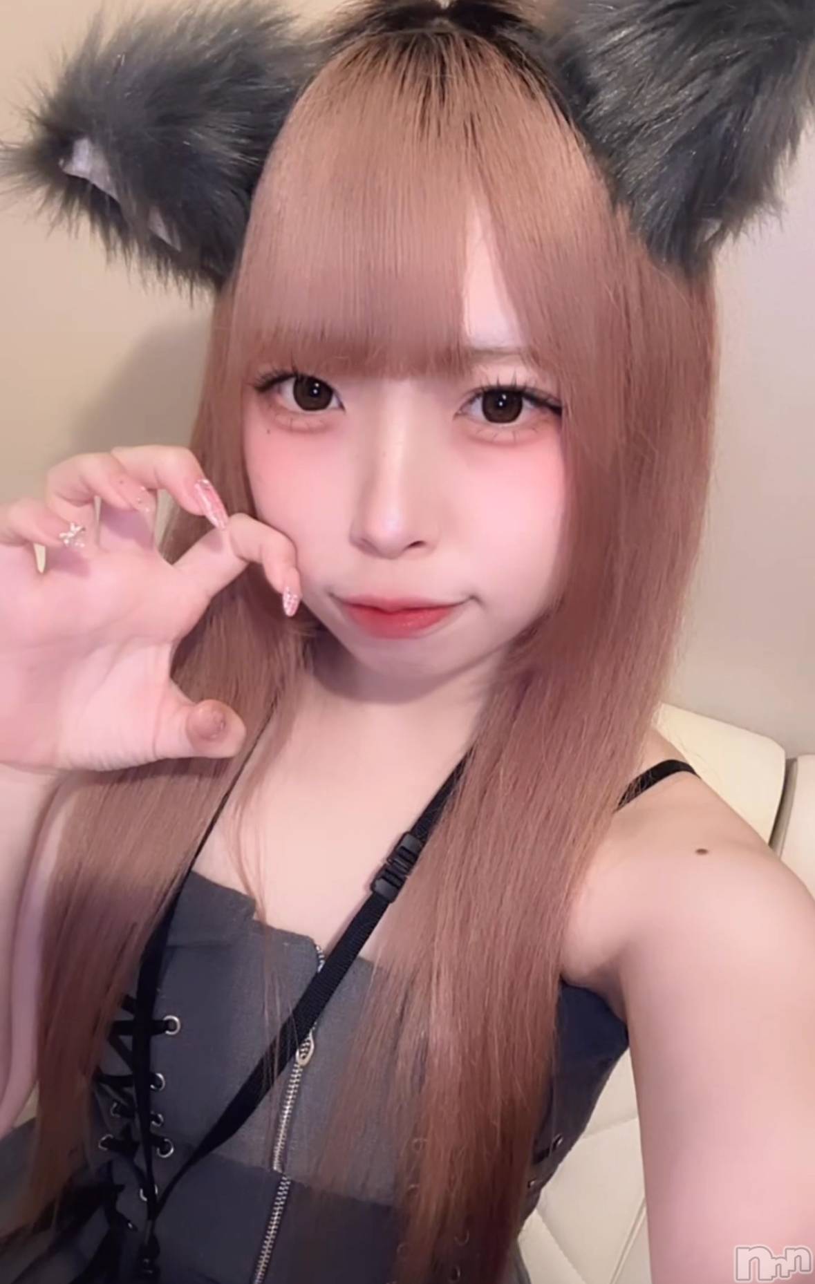 ʥå륺С󥻥ץȥե ˤޤ(󥻥ץȥե˥ޥ륭奦ǥ) 2025ǯ126̥֥126 0317ʬΥ֥