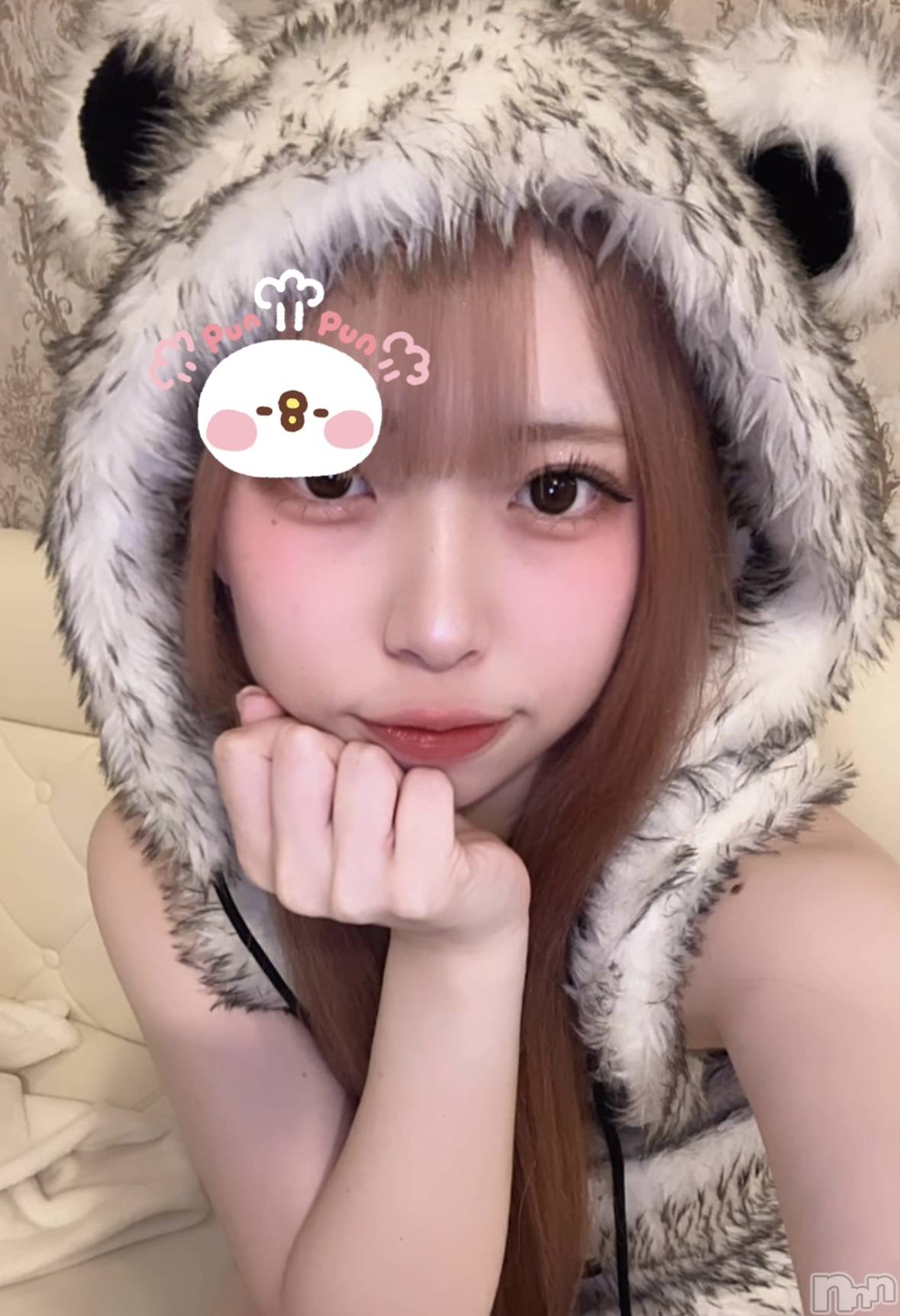 ʥå륺С󥻥ץȥե ˤޤ(󥻥ץȥե˥ޥ륭奦ǥ) 2025ǯ127̥֥127 2340ʬΥ֥