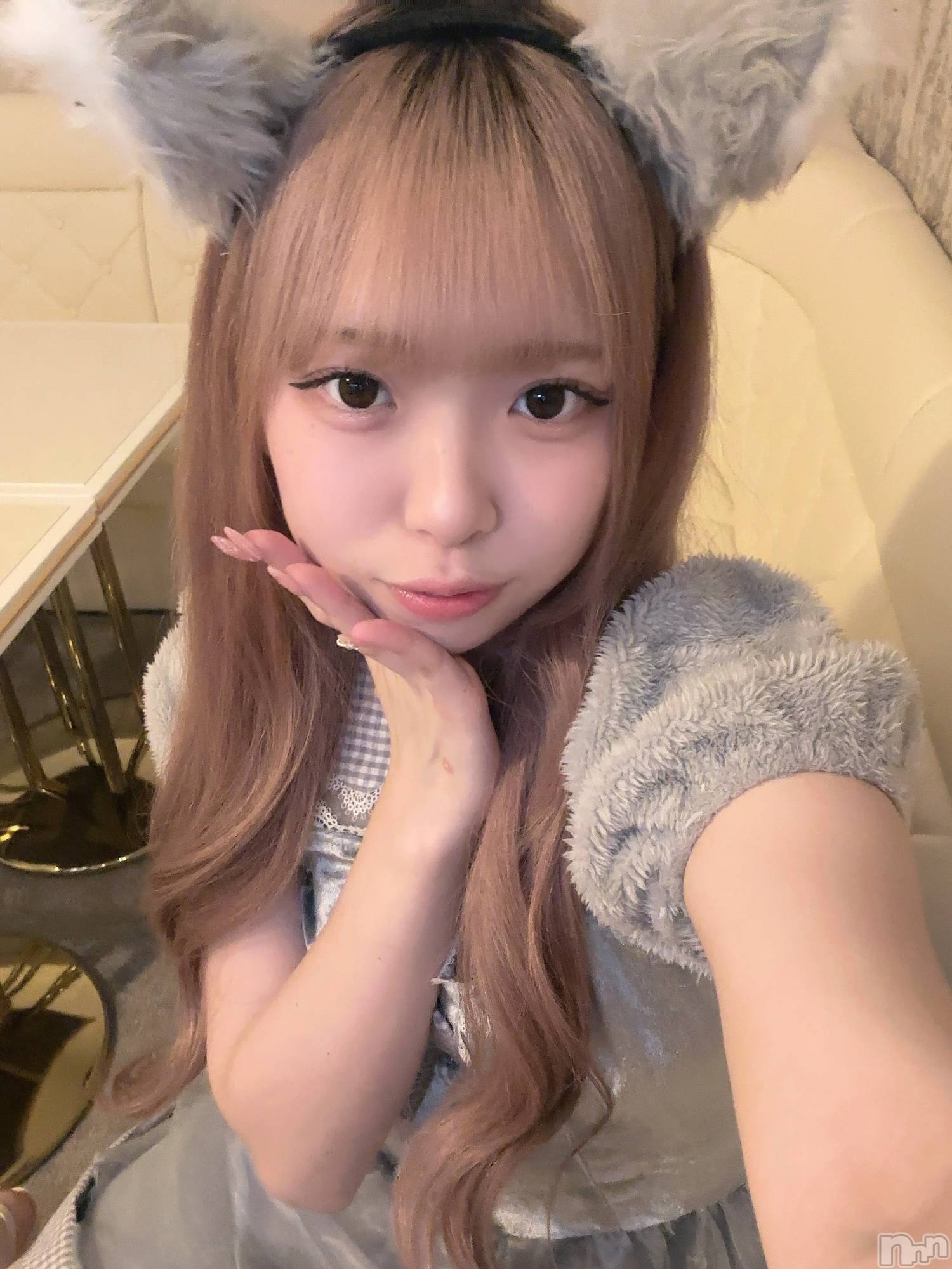 ʥå륺С󥻥ץȥե ˤޤ(󥻥ץȥե˥ޥ륭奦ǥ) 2025ǯ130̥֥130 2211ʬΥ֥