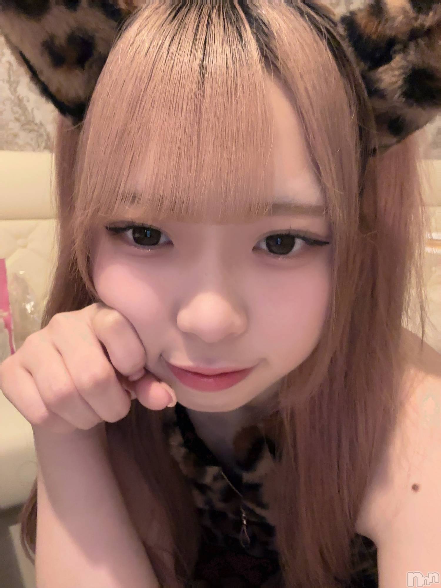 ʥå륺С󥻥ץȥե ˤޤ(󥻥ץȥե˥ޥ륭奦ǥ) 2025ǯ131̥֥131 2259ʬΥ֥