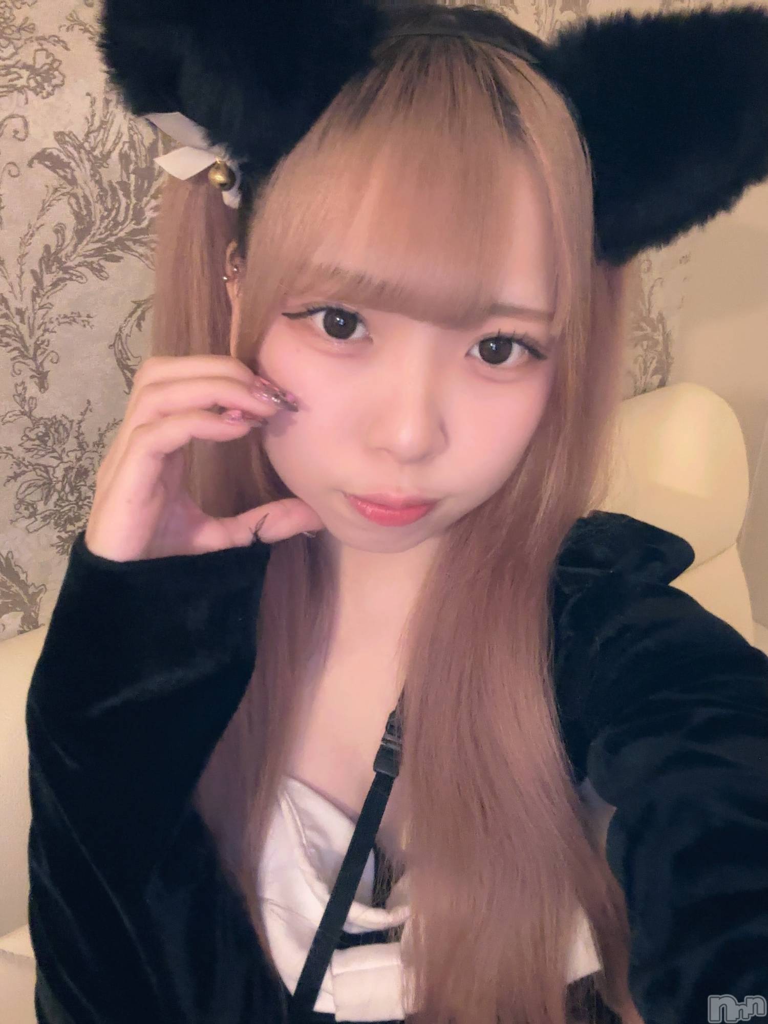 ʥå륺С󥻥ץȥե ˤޤ(󥻥ץȥե˥ޥ륭奦ǥ) 2025ǯ26̥֥26 1614ʬΥ֥