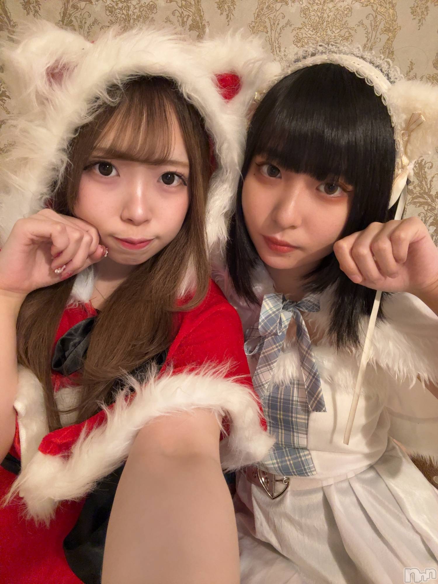 ����������ʥå��������륺�С����󥻥ץȥ��ե� ���ˤޤ����(���󥻥ץȥ��ե����˥ޥ륭�奦�ǥ�) ��2025ǯ12��24���̥�֥�����12��24�� 23��48ʬ�Υ֥�����