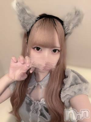 ʥå륺С󥻥ץȥե ˤޤ(󥻥ץȥե˥ޥ륭奦ǥ) 礦1024̥֥🐺🩶