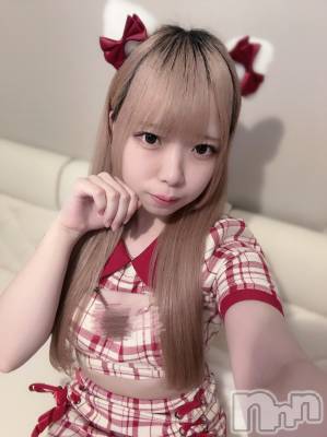 ʥå륺С󥻥ץȥե ˤޤ(󥻥ץȥե˥ޥ륭奦ǥ) 礦1031̥֥1031 0219ʬΥ֥