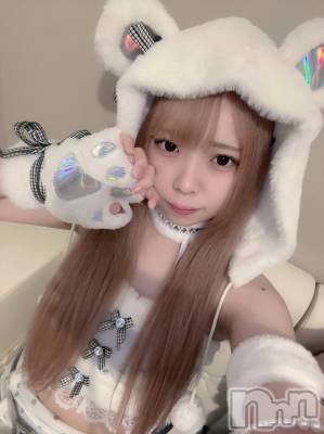 ʥå륺С󥻥ץȥե ˤޤ(󥻥ץȥե˥ޥ륭奦ǥ) 礦113̥֥֤ɱͤˤƤ🎀