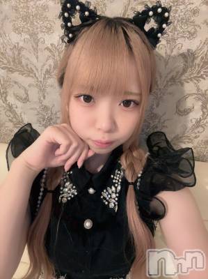 ʥå륺С󥻥ץȥե ˤޤ(󥻥ץȥե˥ޥ륭奦ǥ) 礦115̥֥115 2117ʬΥ֥