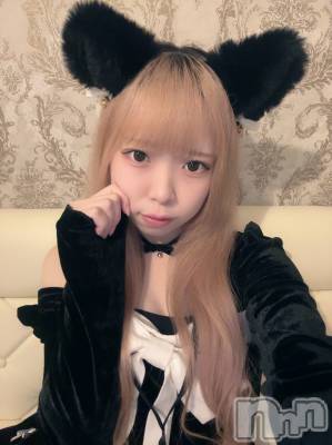 ʥå륺С󥻥ץȥե ˤޤ(󥻥ץȥե˥ޥ륭奦ǥ) 礦116̥֥116 2302ʬΥ֥